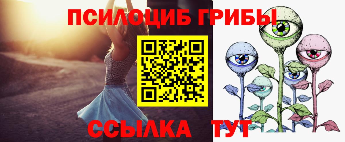 Галлюциногенные грибы MAGIC MUSHROOMS  Вход с VPN  Бахчисарай 